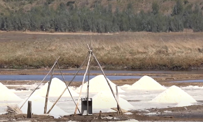 Entregan recursos a salineros de Pichilemu y Paredones