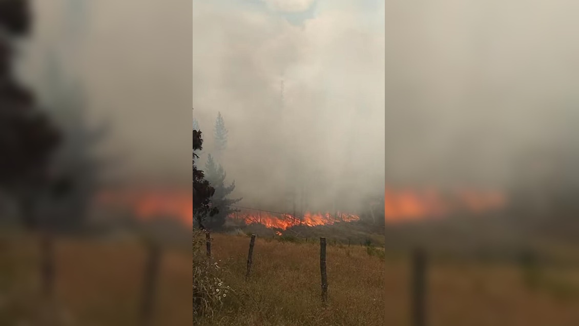 Onemi Declaró Alerta Roja Para Nueva Imperial Por Incendio Forestal