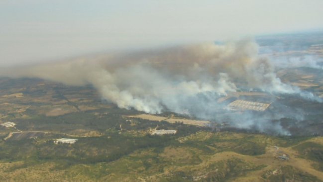 Incendio forestal en Santo Domingo se propagó a San Pedro: Se declaró alerta roja