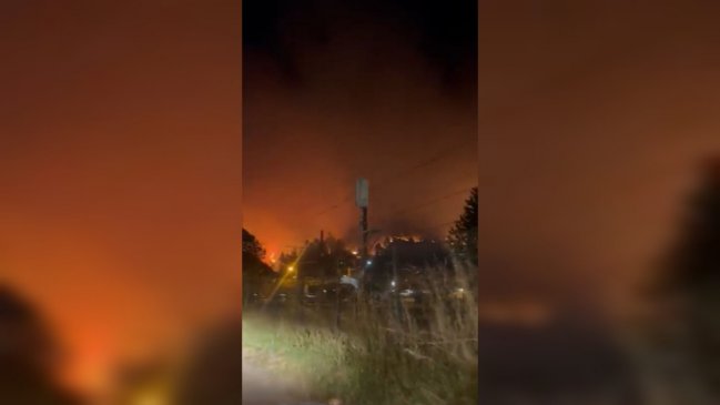 Chiguayante y Hualqui están bajo alerta roja por un incendio forestal
