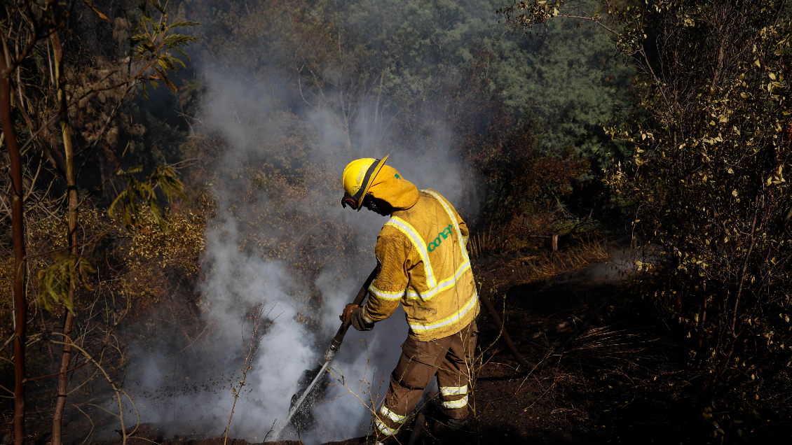 Vivienda resultó siniestrada en incendio forestal de Los Ángeles: Hay una bodega y una casa con daños