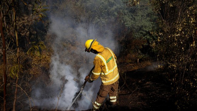 Vivienda resultó siniestrada en incendio forestal de Los Ángeles: Hay una bodega y una casa con daños