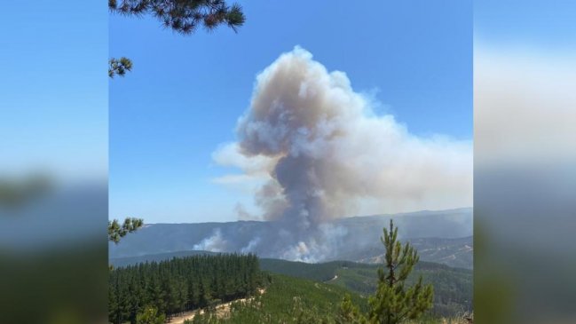 Declaran alerta roja para Pumanque, Pichilemu y Paredones por incendio forestal