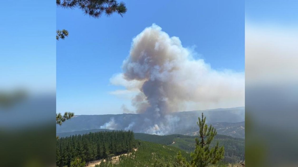 Declaran Alerta Roja Para Pumanque Pichilemu Y Paredones Por Incendio