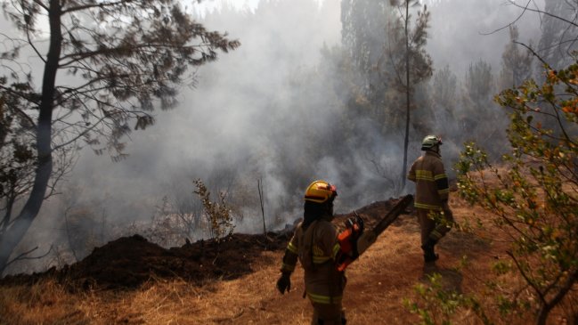 Incendio forestal en Santa Juana y Nacimiento fue controlado y dejó más de 5.300 hectáreas destruidas