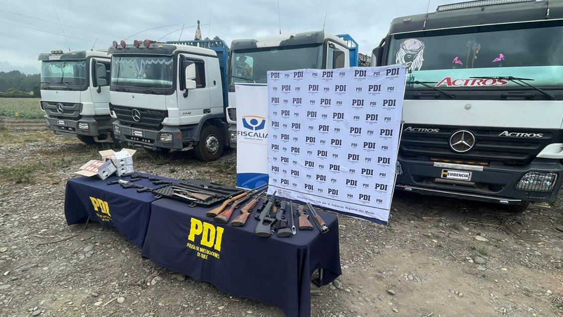 Desbaratan red dedicada al robo de madera en el Maule: 44 detenidos