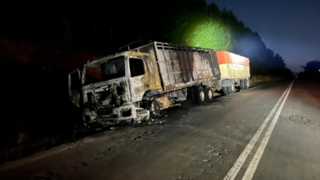 Desconocidos quemaron un camión cargado de trigo en las cercanías de Los Sauces