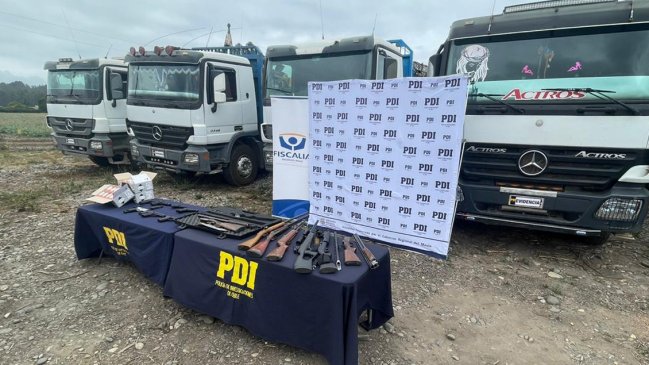 Formalización de bandas dedicadas al robo de madera en Maule se extendió hasta la madrugada