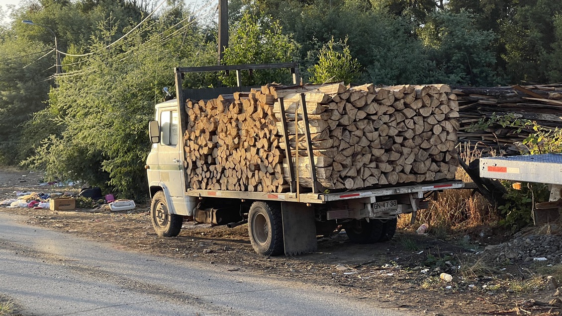 Valdivia: 11 personas fueron detenidas por robo de madera y violencia rural