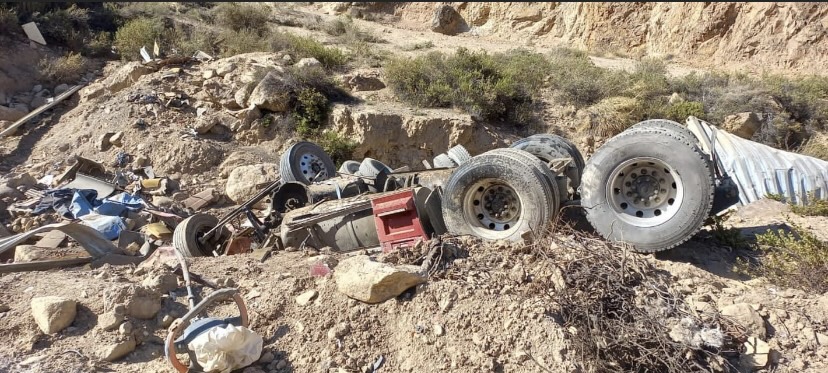 Camión boliviano volcó en Arica y causó la muerte de sus dos ocupantes