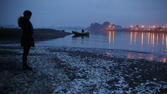 Naufragio en el Golfo de Arauco dejó a una víctima fatal
