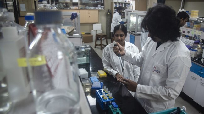 Foro Económico dice que el mundo necesita un 37% más de médicos y docentes