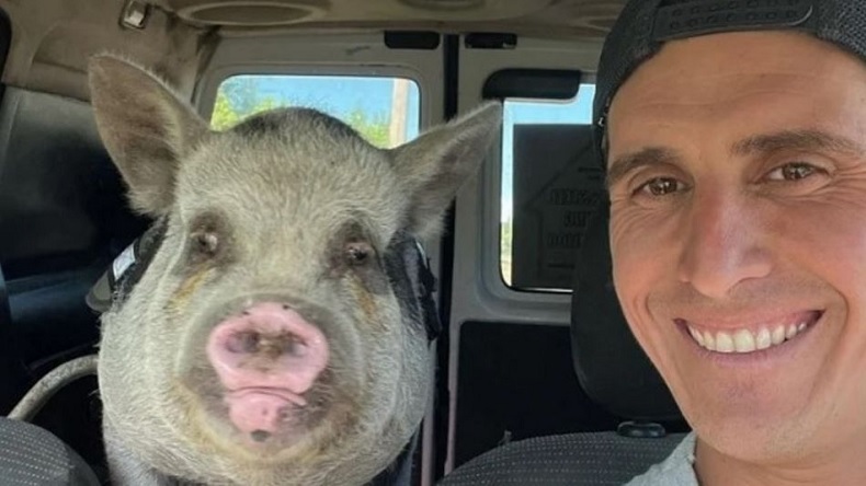 Denuncian maltrato: Adoptó una chanchita como mascota, pero la mató y se la comió