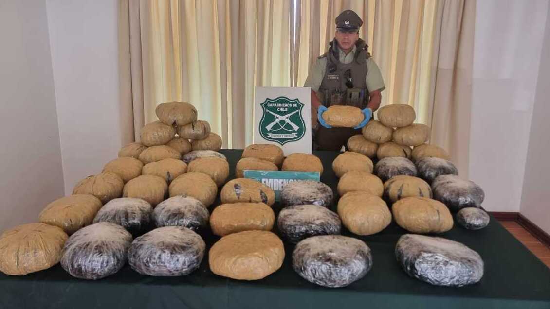 Pasajeros de bus Colchane-Iquique fueron sorprendidos con más de 46 kilos de droga