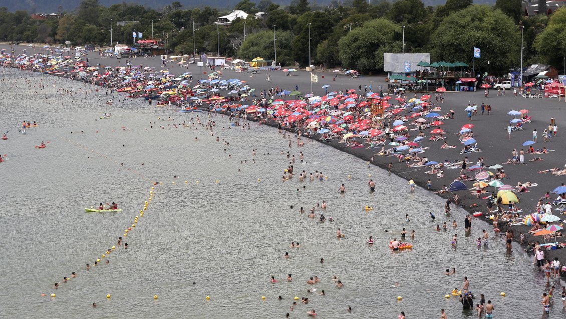Delegación fortalecerá plan de descontaminación tras bloom de algas en lago Villarrica