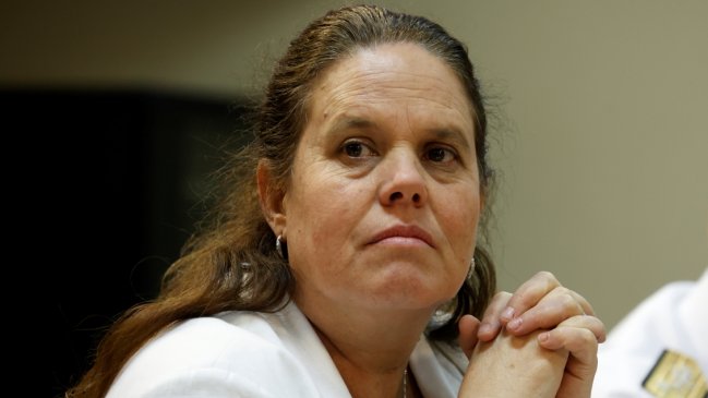 Ministra Fernández le bajó el perfil a críticas de Iturriaga: Son observaciones que tienen que quedar en el texto