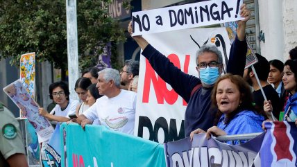   Ambientalistas celebraron el rechazo al proyecto Dominga 
