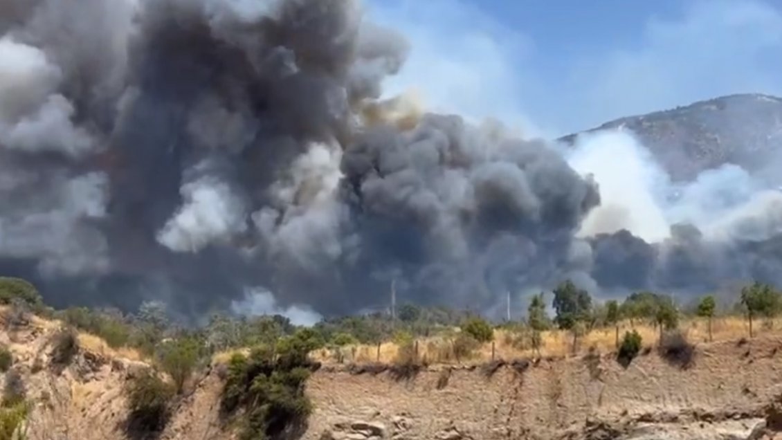 Incendio forestal en Curacaví afecta visibilidad en la Ruta 68