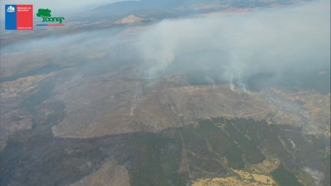  Tres detenidos por incendio forestal en Cauquenes: se inició tras un asado  