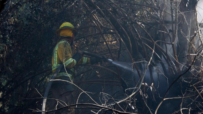 Incendio forestal en Pirque afectó a una casa y una bodega: Hay alerta roja
