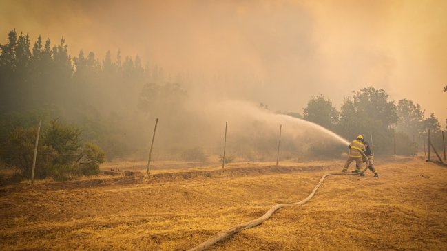 Senapred ordenó evacuación de un sector de San Javier debido a incendio forestal