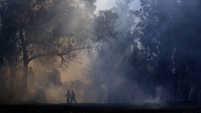  Hombre falleció tras sufrir quemaduras en incendio forestal en Pitrufquén  