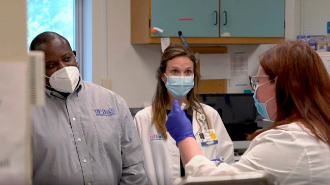 Científicas prueban terapia ultrasónica para combatir el cáncer de páncreas