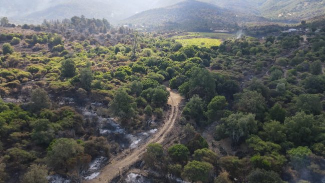  Incendio forestal en San Javier fue contenido tras consumir 2.600 hectáreas  