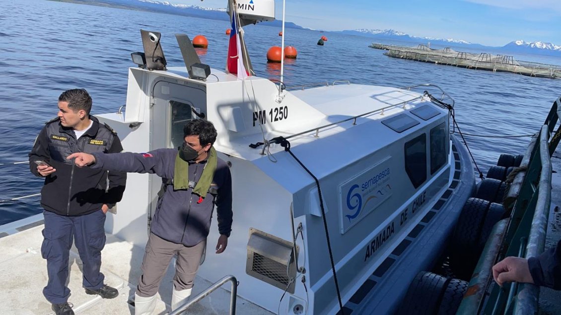 Magallanes: Sernapesca presentó 42 denuncias por infracciones de la industria acuícola en 2022