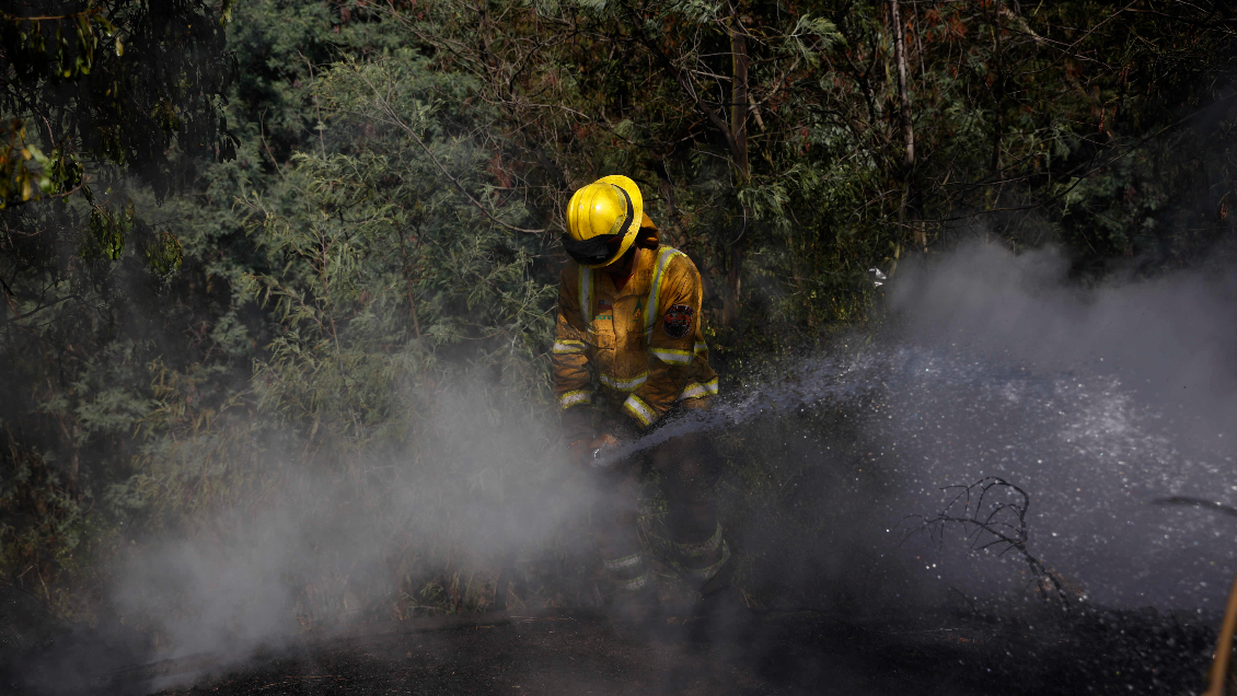 Una vivienda y una bodega afectadas dejó un incendio forestal en Melipilla