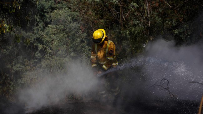 Una vivienda y una bodega afectadas dejó un incendio forestal en Melipilla