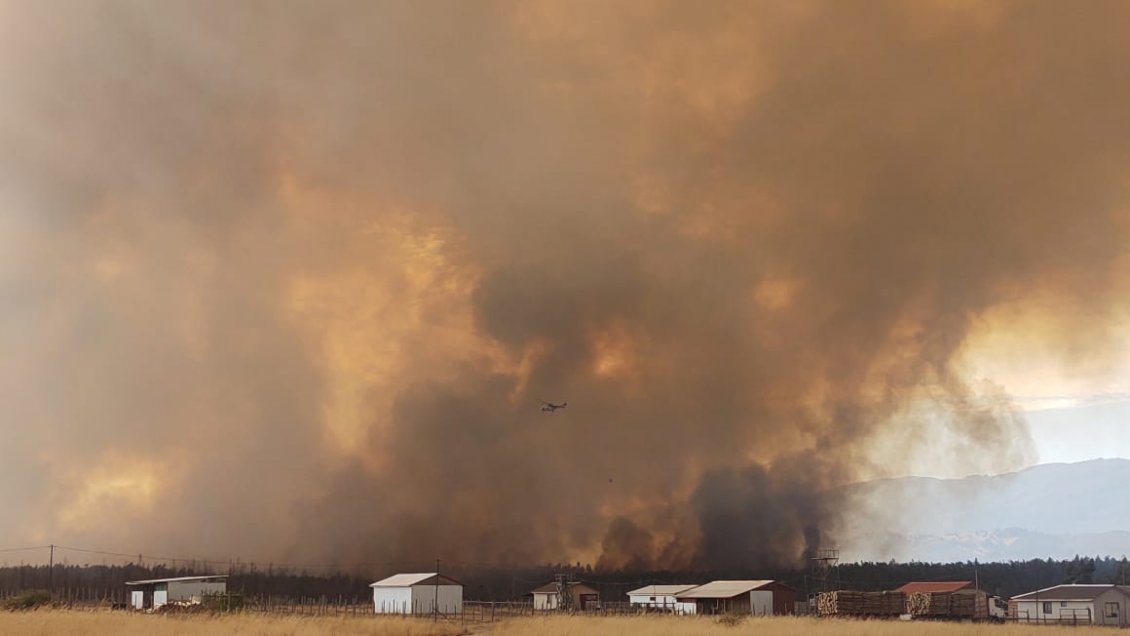 Incendio forestal mantiene en alerta roja a la comuna de Chol Chol