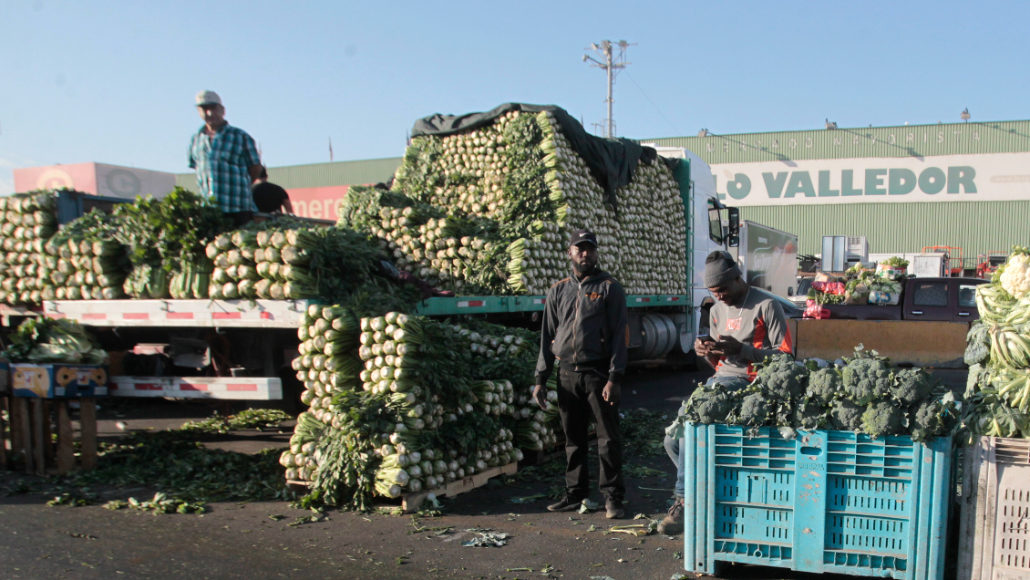 Persona que pernoctaba bajo un camión de carga fue arrollada en Lo Valledor
