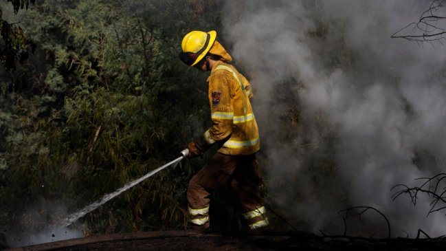 Incendios forestales: Estos son los sectores de Tomé que Senapred solicitó evacuar