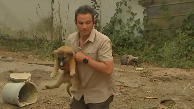 Gonzalo Ramírez rescató a perrito que quedó solo por evacuaciones de incendios