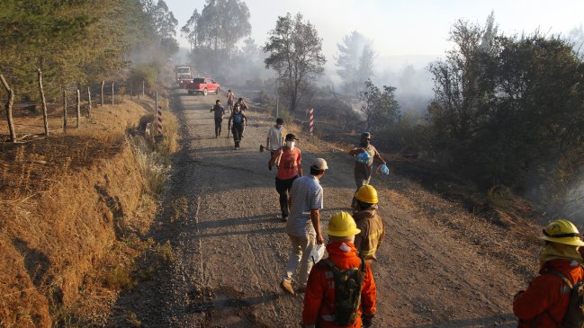 Incendios forestales avanzan hacia la Región del Maule: Chanco y Cauquenes bajo alerta roja