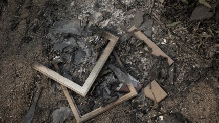   La destrucción que dejan los incendios forestales en Ñuble y Biobío 