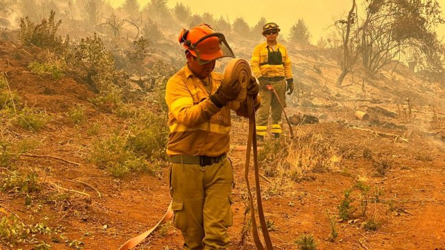 Incendios forestales: Gobierno se reunió con gremios empresariales y brigadistas de CMPC continúa trabajando