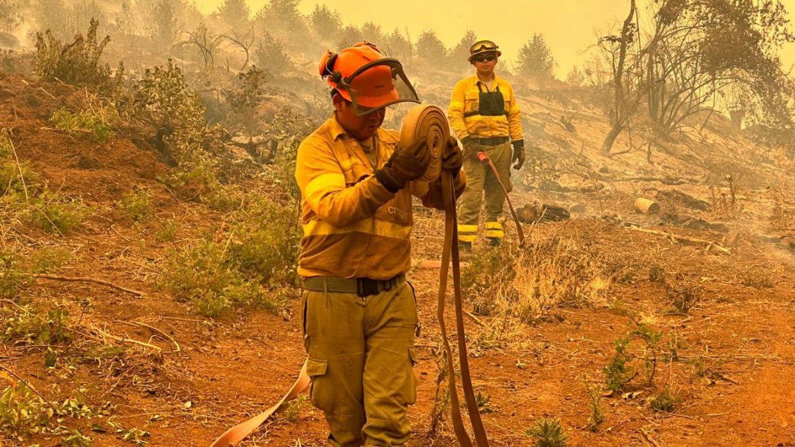 Incendios forestales: Gobierno se reunió con gremios empresariales y brigadistas de CMPC continúa trabajando