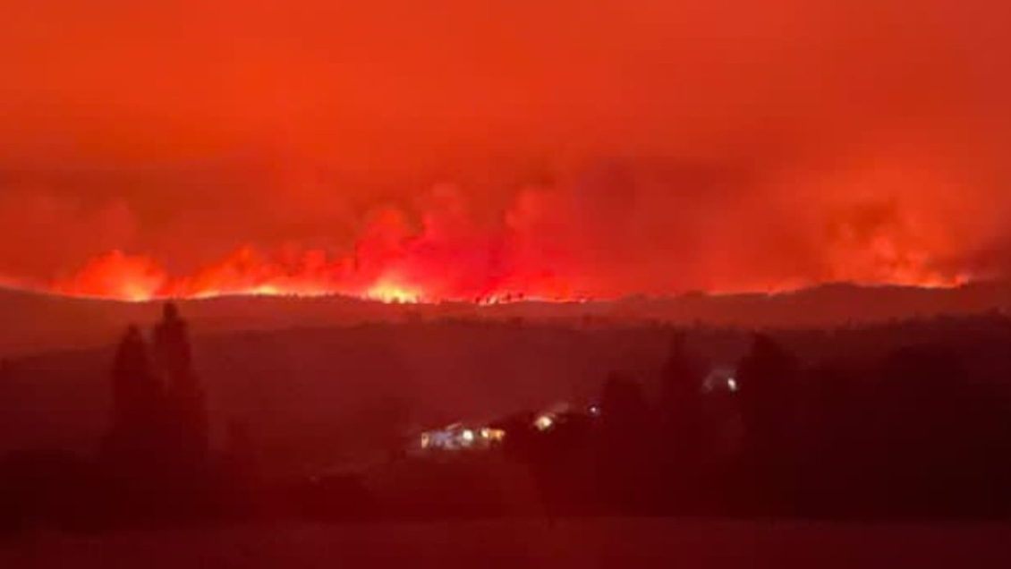 Ordenan evacuación de Ninhue por avance del incendio forestal: Se deben trasladar a San Nicolás