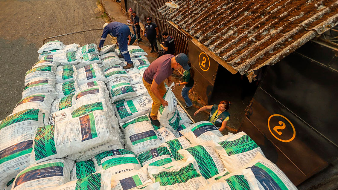 Incendios forestales: Las primeras medidas inmediatas para ir en ayuda de los pequeños agricultores