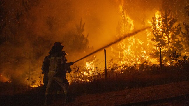 Alcalde: Hay gente que se interna en el bosque, prende fuego y es recogida en vehículos sin patente
