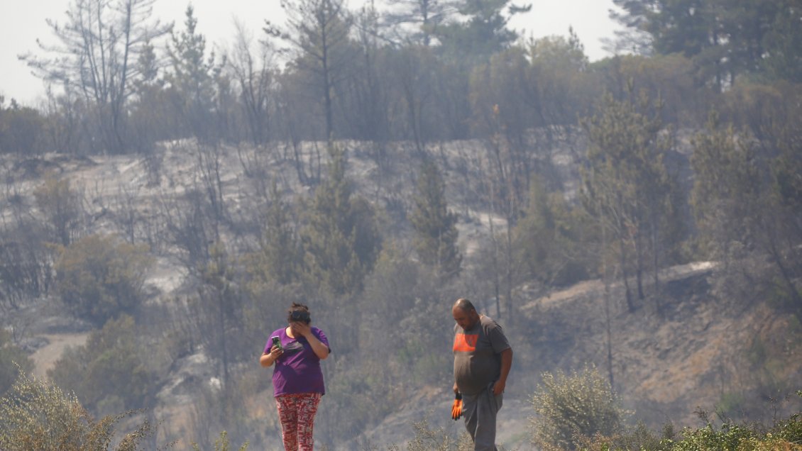 Incendios forestales: 45 comunas entre Ñuble y La Araucanía tienen problemas de telecomunicaciones