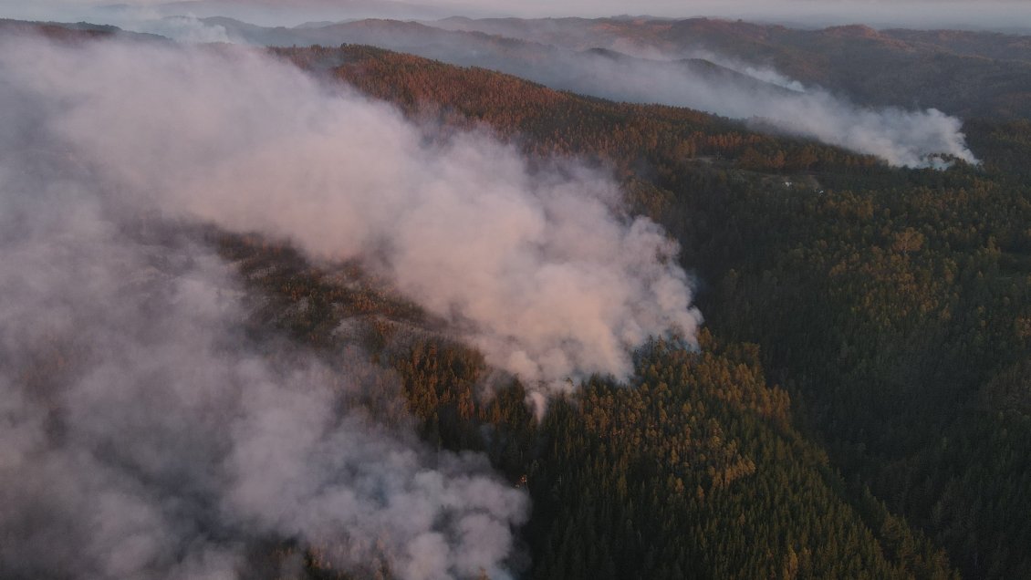 Gobierno anunció toque de queda para comunas afectadas por incendios forestales
