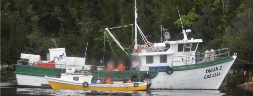 Pesquera de Los Lagos deberá pagar millonaria multa por extraer ilegalmente merluza desde Aysén