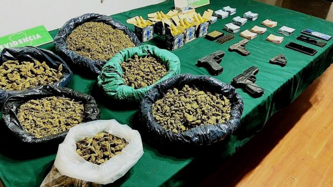 Tres detenidos y 15 mil plantas de marihuana dejó operativo antidrogas en Monte Patria