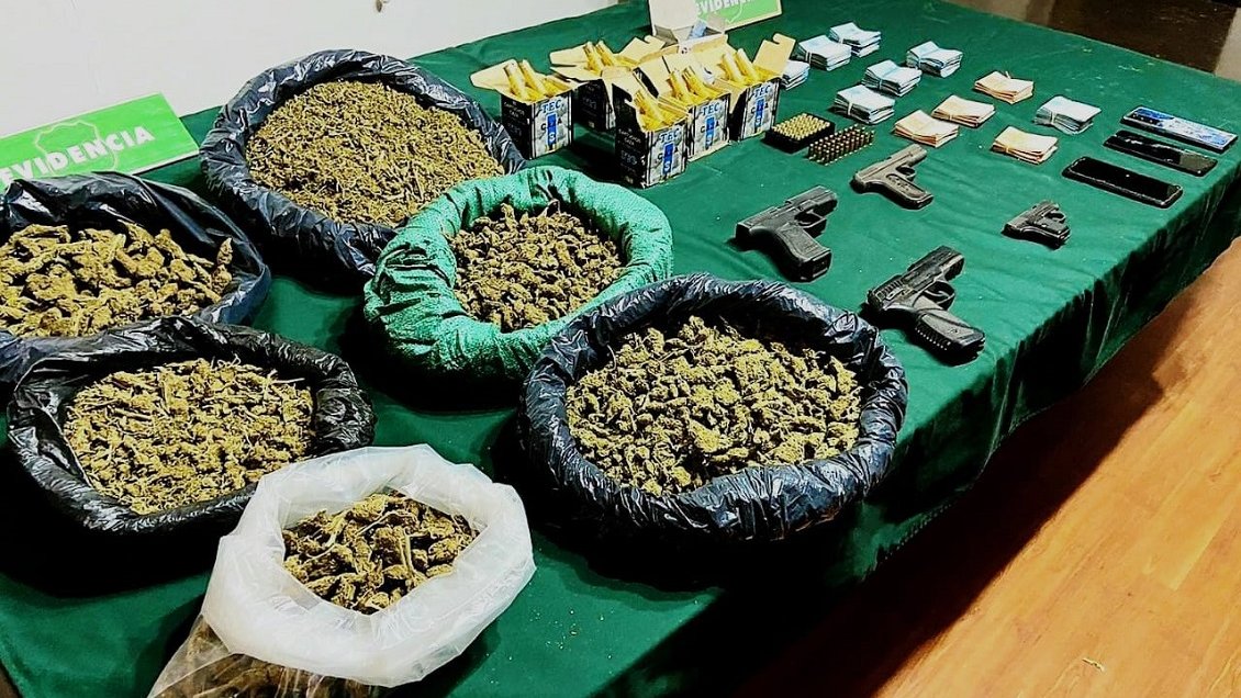 Tres detenidos y 15 mil plantas de marihuana dejó operativo antidrogas en Monte Patria