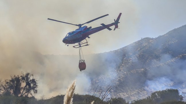 Senapred declaró alerta roja por incendio forestal en Peñaflor