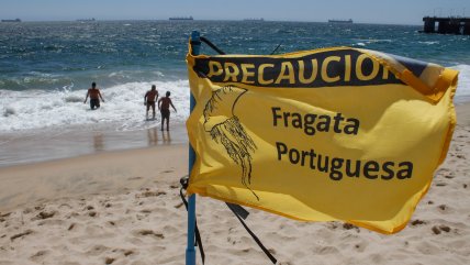   Cierran tres playas de la Región de Valparaíso por presencia de la fragata portuguesa 