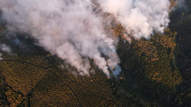 Balance incendios forestales: Hay 75 en combate a nivel nacional y 148 ya están controlados